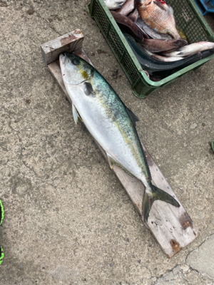 じゃのひれフィッシングパークさんにて