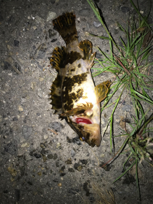 レンジ下げ気味