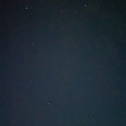 まだまだシーズンははやいのかな