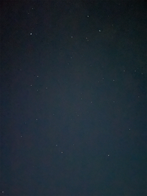 まだまだシーズンははやいのかな