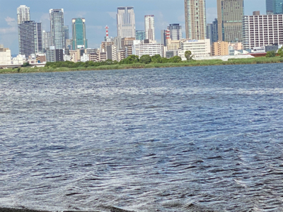 淀川ハゼクラ　濁りはダメ