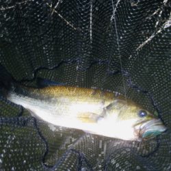 そろそろ厳しい季節