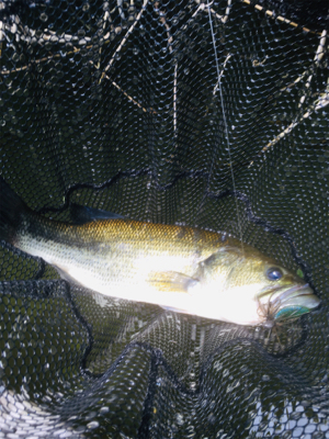 そろそろ厳しい季節