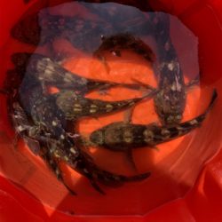 久々の一文字で〜す❗️