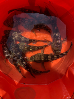 久々の一文字で〜す❗️