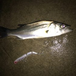 PLEX85ありがとう！