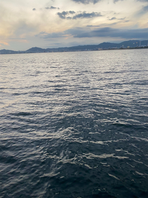 久しぶりの青物