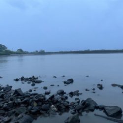 マイクロベイトパターン