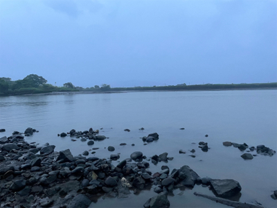 マイクロベイトパターン