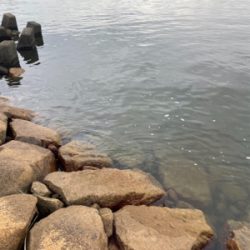 夕方のぶっ込み釣り