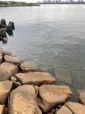 夕方のぶっ込み釣り