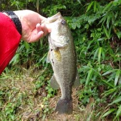 雨後のクランキング