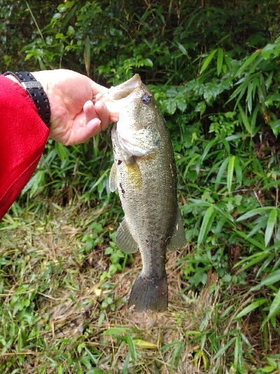 雨後のクランキング