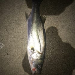 痛恨のラインブレイク⤵︎