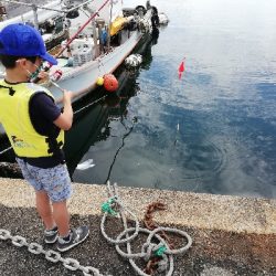 ファミリーフィシング