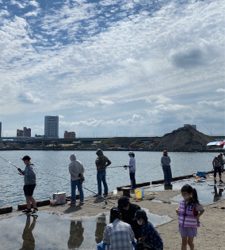 アジ釣り、キス釣り