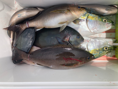 イサキを求めて