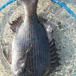 『釣りデビュー❤』181日目✨