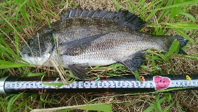 『釣りデビュー❤』182日目⭐