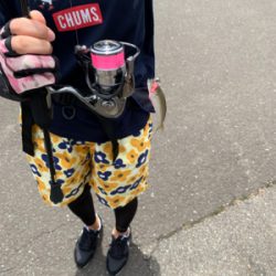 ウルトラライトゲーム