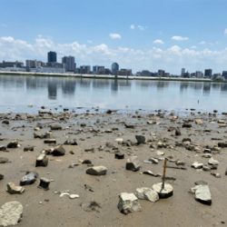 干潮からの3時間、ハゼクラ