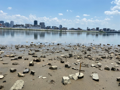 干潮からの3時間、ハゼクラ