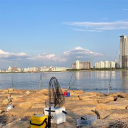 夕方のぶっ込み釣り