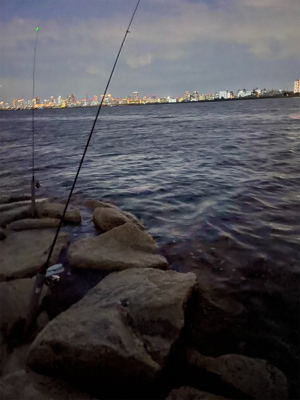 テナガエビ釣り