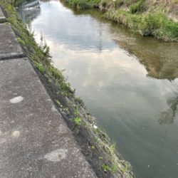 夕まづめナマズ釣り