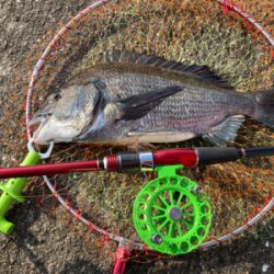 潮周り良好も3枚のみ