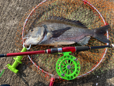 潮周り良好も3枚のみ