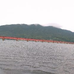 由良川河口 キス釣り