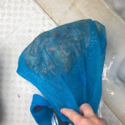 明石船タコ釣り