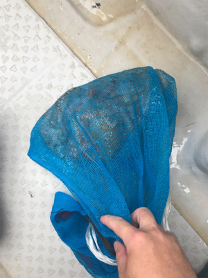 明石船タコ釣り