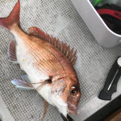 久々のヒトツテンヤ