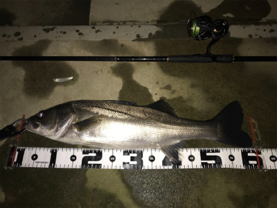 水面直下のハイドロアッパー！