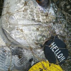 『釣りデビュー♡』188日目！！