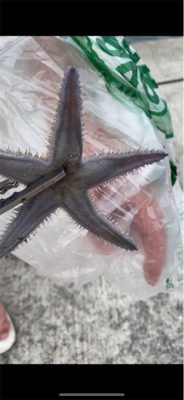 初投稿★4時から7時までキス釣り