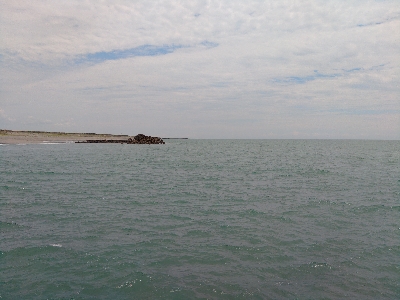 やっと海が生き返ってきた