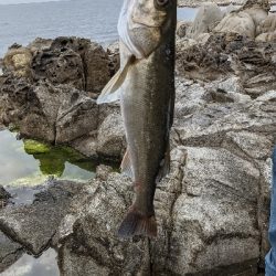 久しぶりの釣行