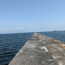 岸和田一文字カーブ