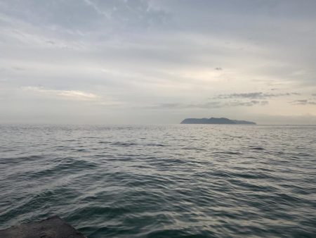 朝マズメ　シーバス