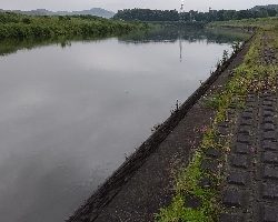 リバーシーバス