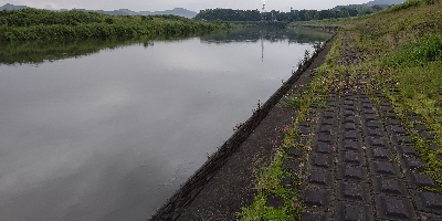 リバーシーバス