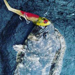 ヒラメ、尺アジ