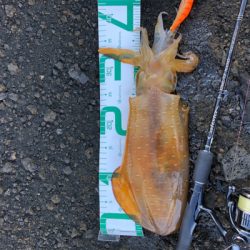 2021 佐渡ヶ島ライトゲーム&エギング