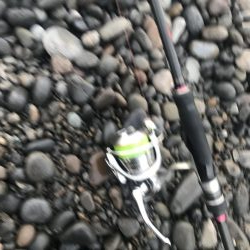 ダイソージグでハマチGET