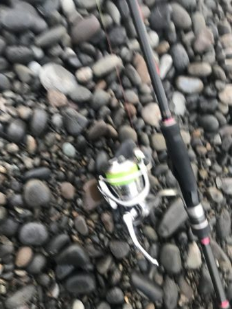 ダイソージグでハマチGET