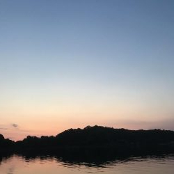 わらしべ釣りで、キビレ