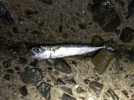 フロートメバリング